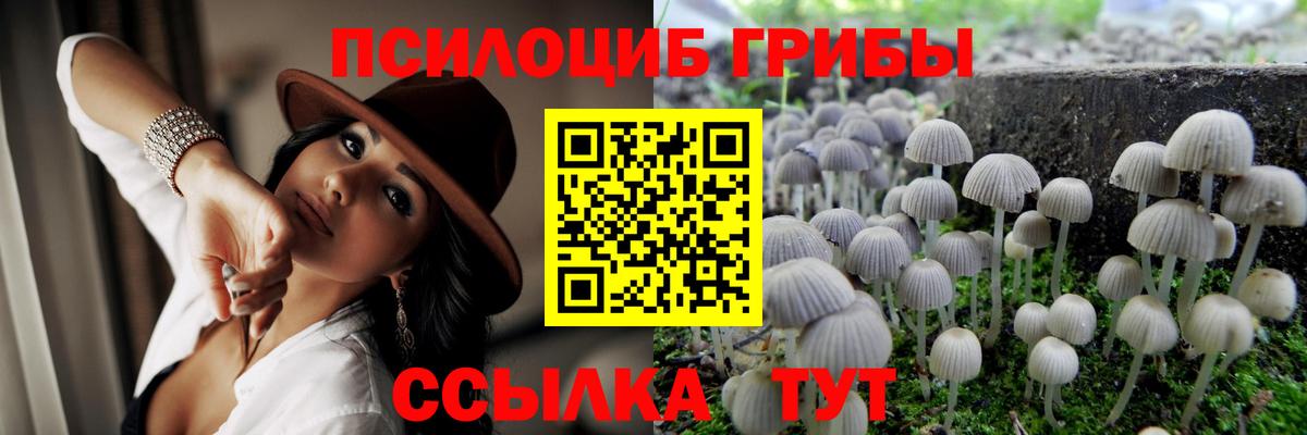 Нижний Новгород  Галлюциногенные грибы GOLDEN TEACHER  Вход с VPN 